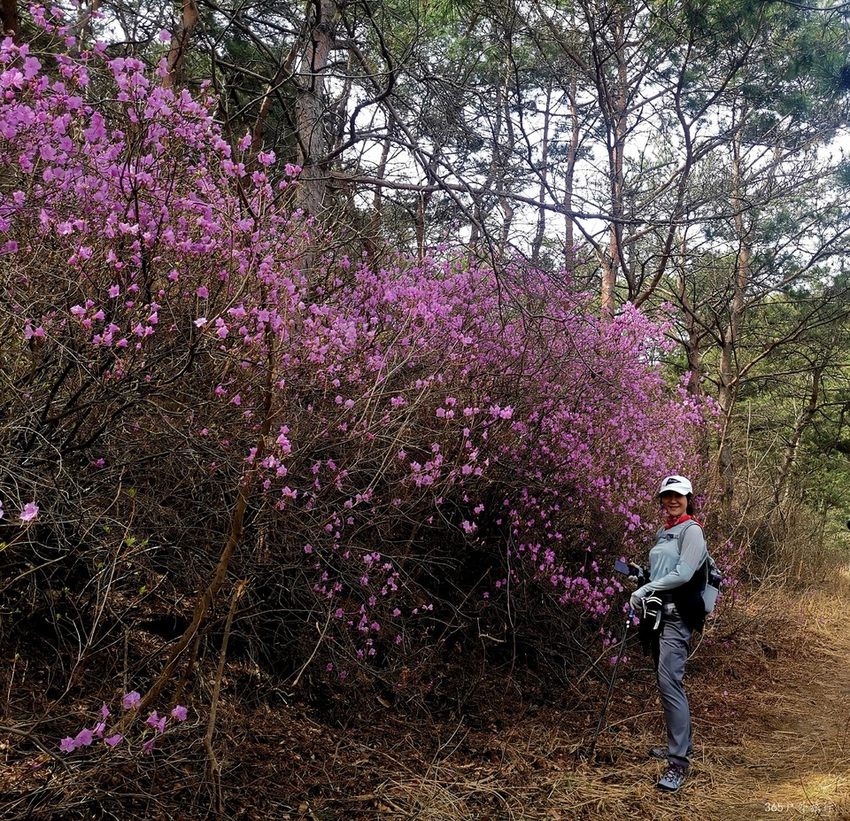 IMG_20220413_095442_edit_27442938621331