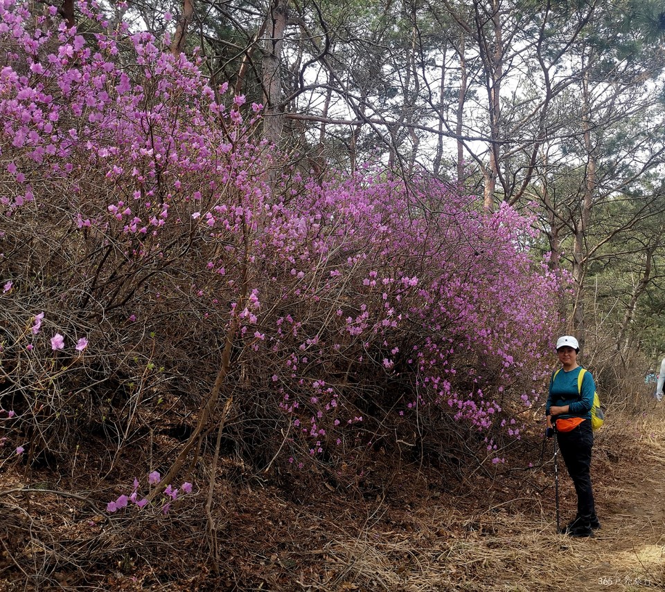 IMG_20220413_095449_edit_27428765456750