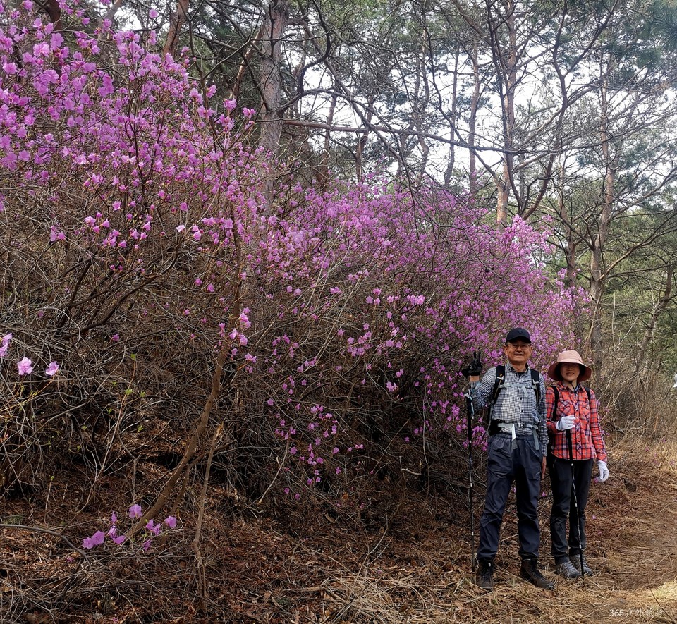 IMG_20220413_095500_edit_27411849449982