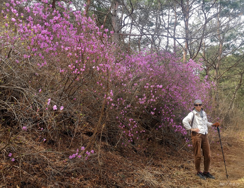 IMG_20220413_095510_edit_27397200176026