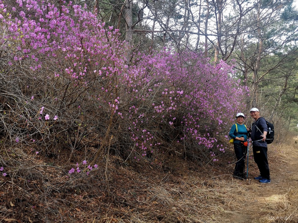 IMG_20220413_095518_edit_27376210249987