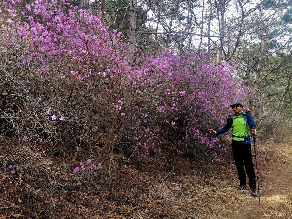 IMG_20220413_095527_edit_27346675644263