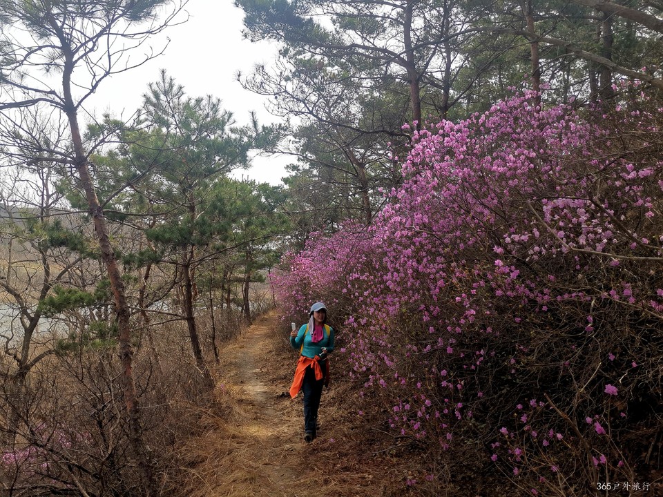 IMG_20220413_095607_edit_27336024996348