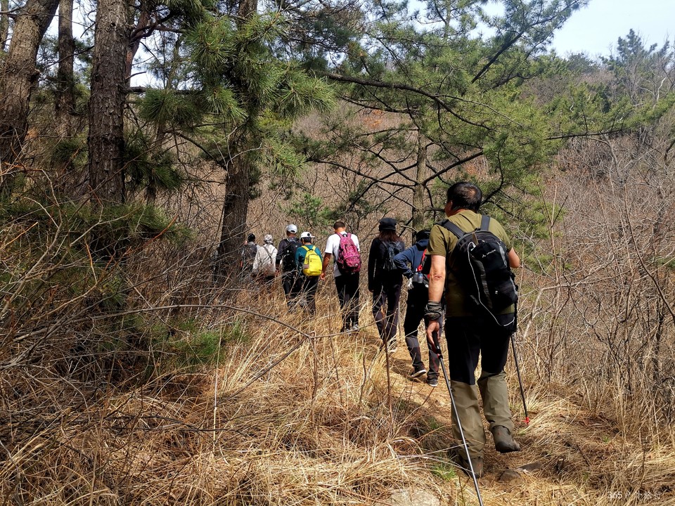 IMG_20220413_095753_edit_27327172479162