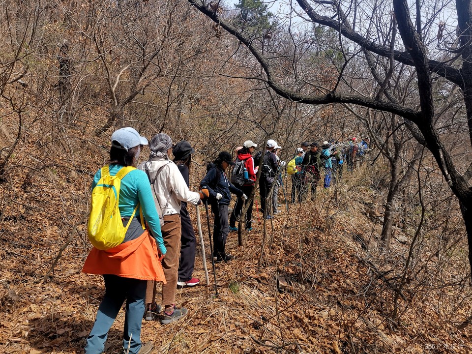 IMG_20220413_100045_edit_27309857076560