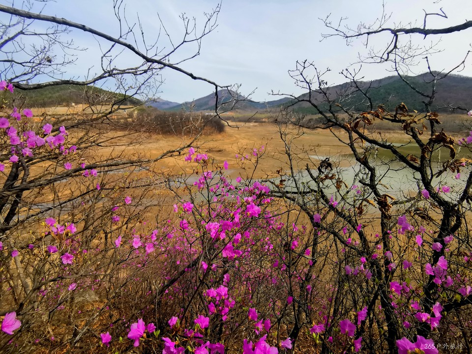 IMG_20220413_100650_edit_27299048466666