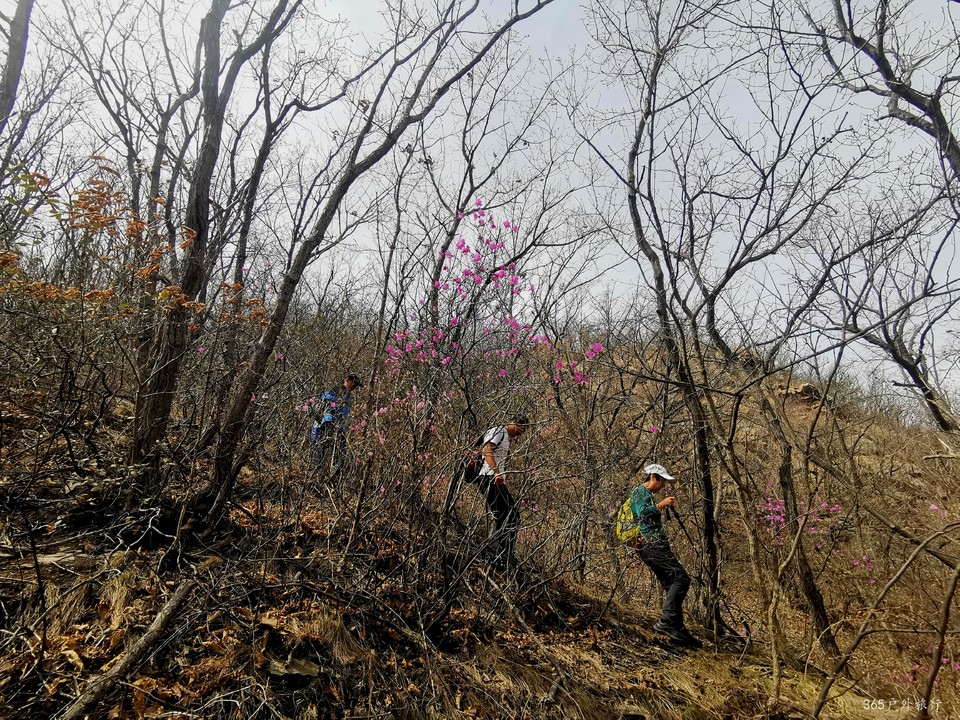 IMG_20220413_100703_edit_27289896058334