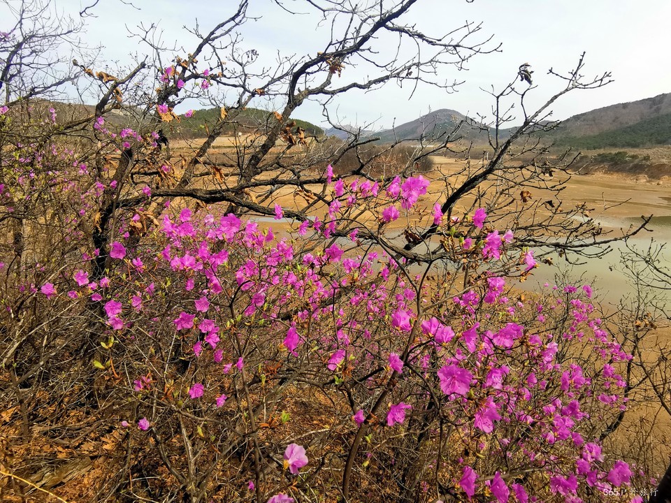 IMG_20220413_100746_edit_27277120472398