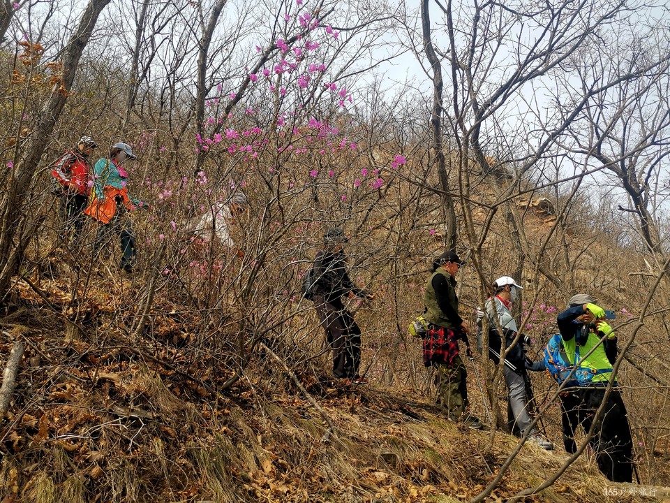 IMG_20220413_100913_edit_27268350481254