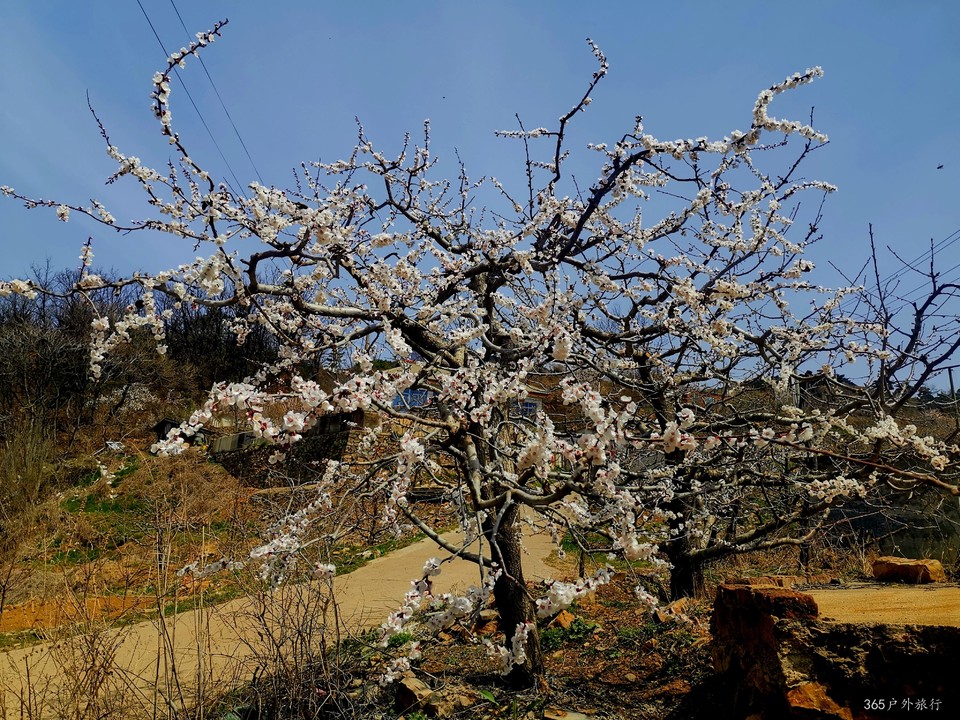 IMG_20220413_110838_edit_27230582470322