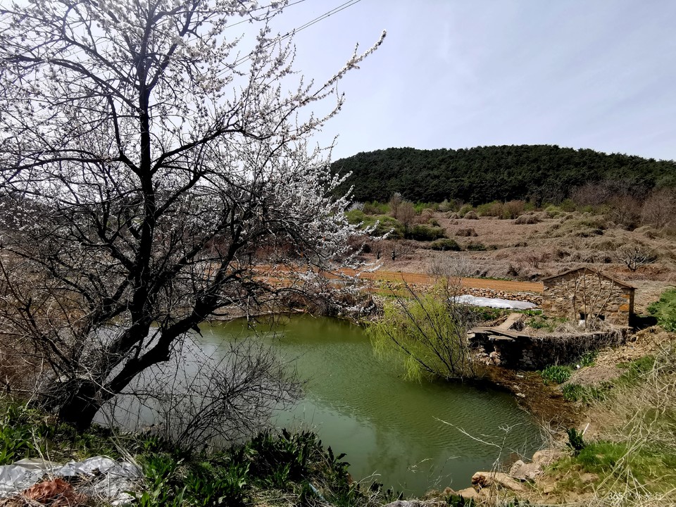 IMG_20220413_111207_edit_27216010334387