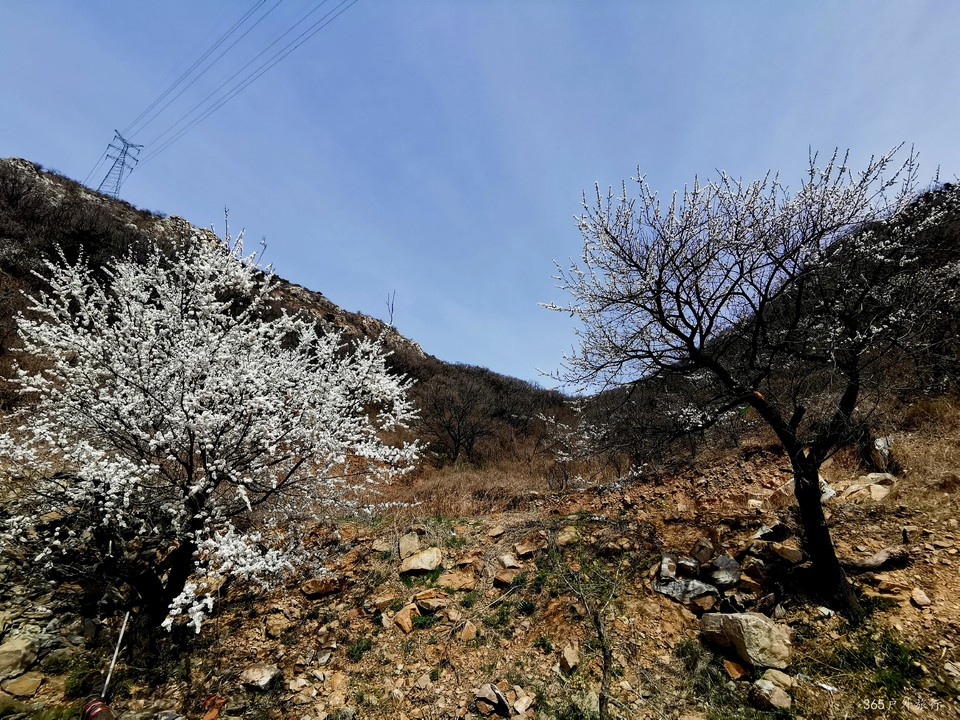 IMG_20220413_113320_edit_27206823440638