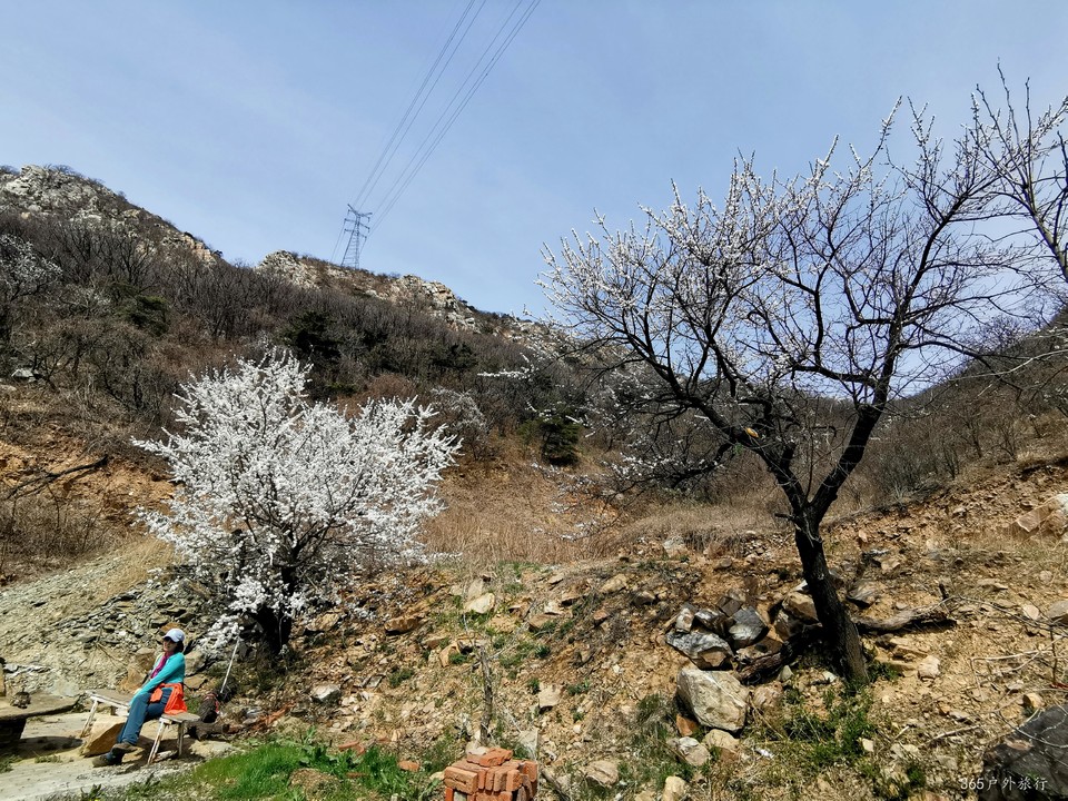 IMG_20220413_113448_edit_27196527627098