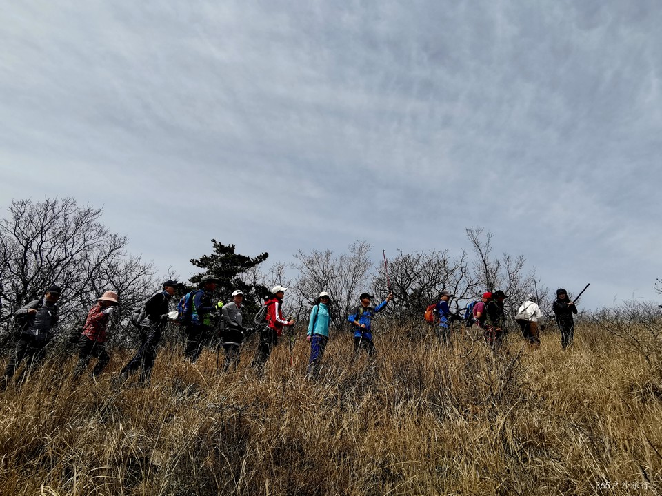 IMG_20220413_123912_edit_27166962867728