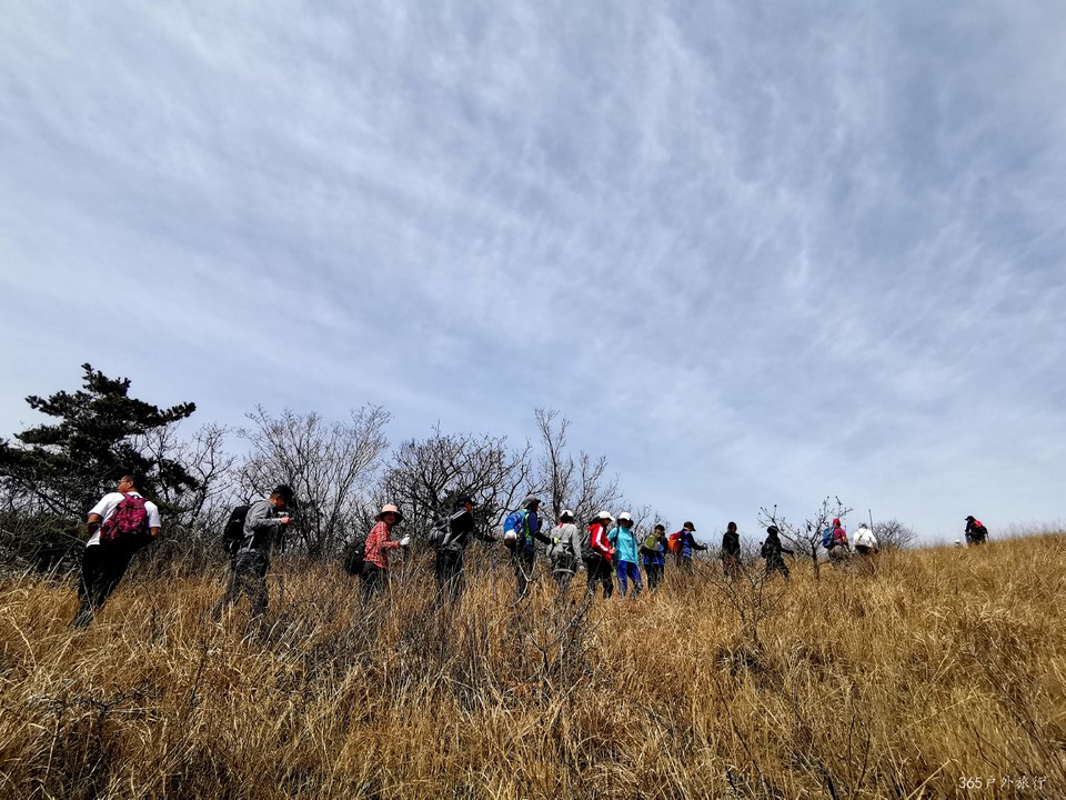 IMG_20220413_123924_edit_27158849394812