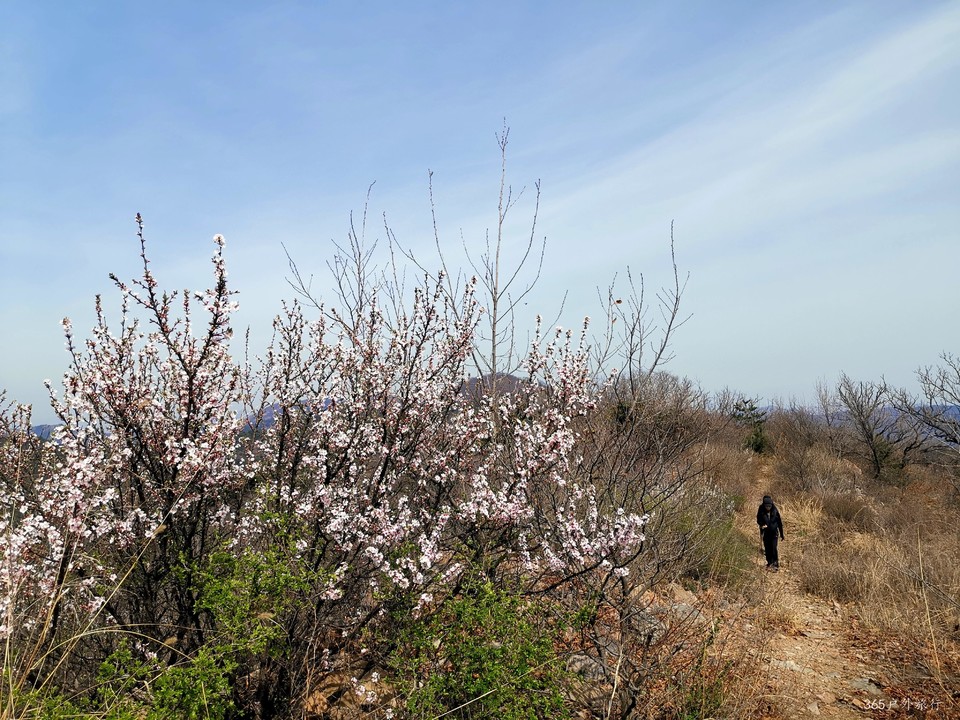 IMG_20220413_140342_edit_26959162790155