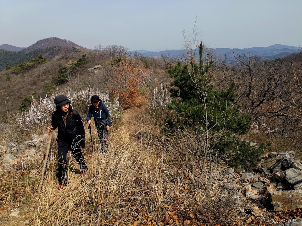 IMG_20220413_140434_edit_26950516729740