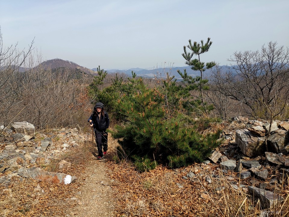 IMG_20220413_140503_edit_26940073199012