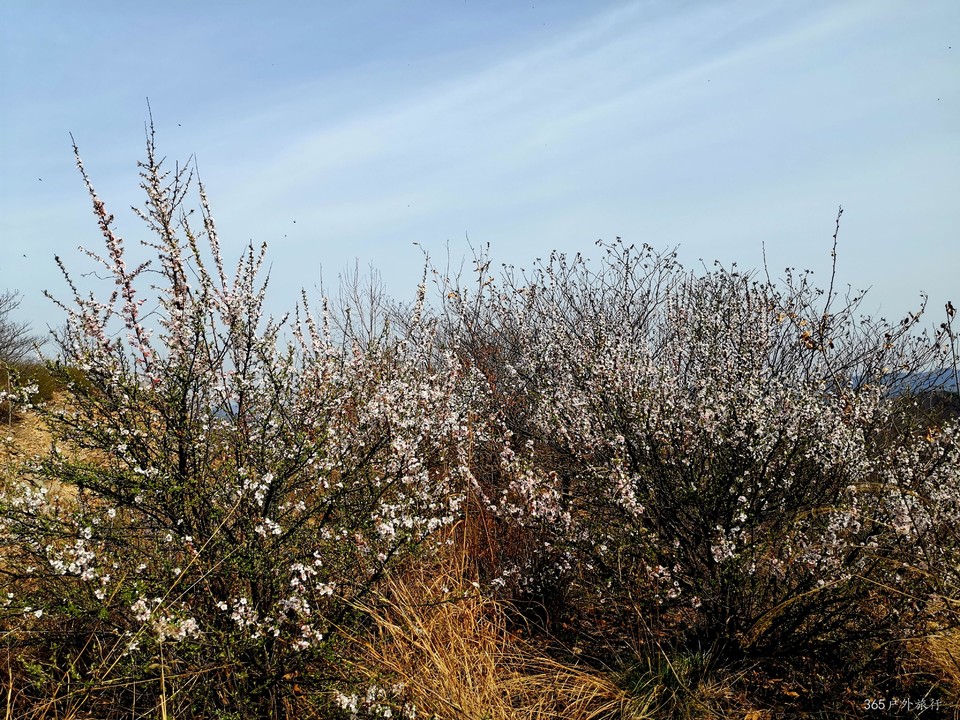 IMG_20220413_140548_edit_26930816476618