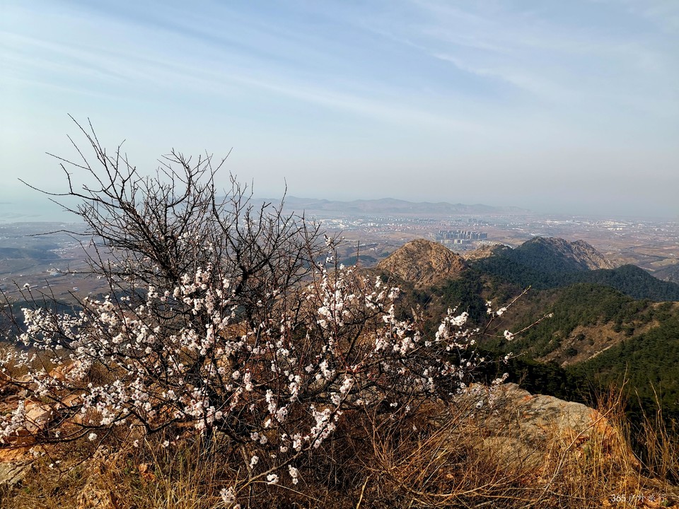 IMG_20220413_153016_edit_25513437492980