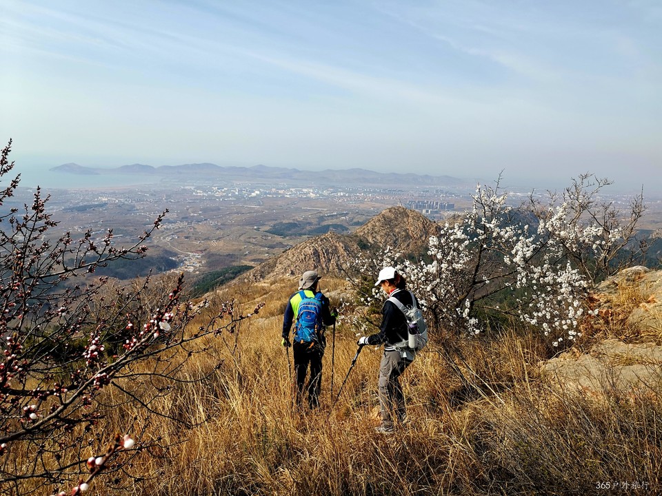 IMG_20220413_153111_edit_25503235224752