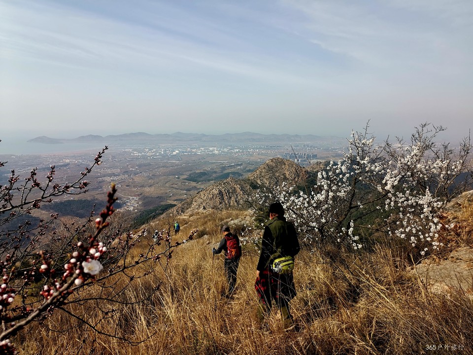 IMG_20220413_153146_edit_25493466728400