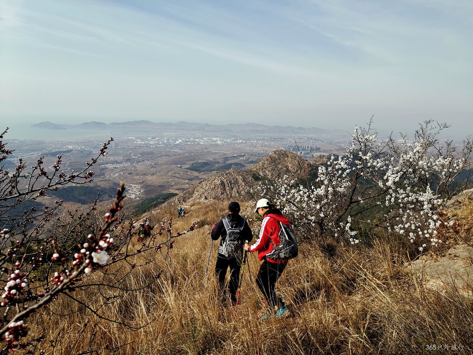 IMG_20220413_153205_edit_25480268710173