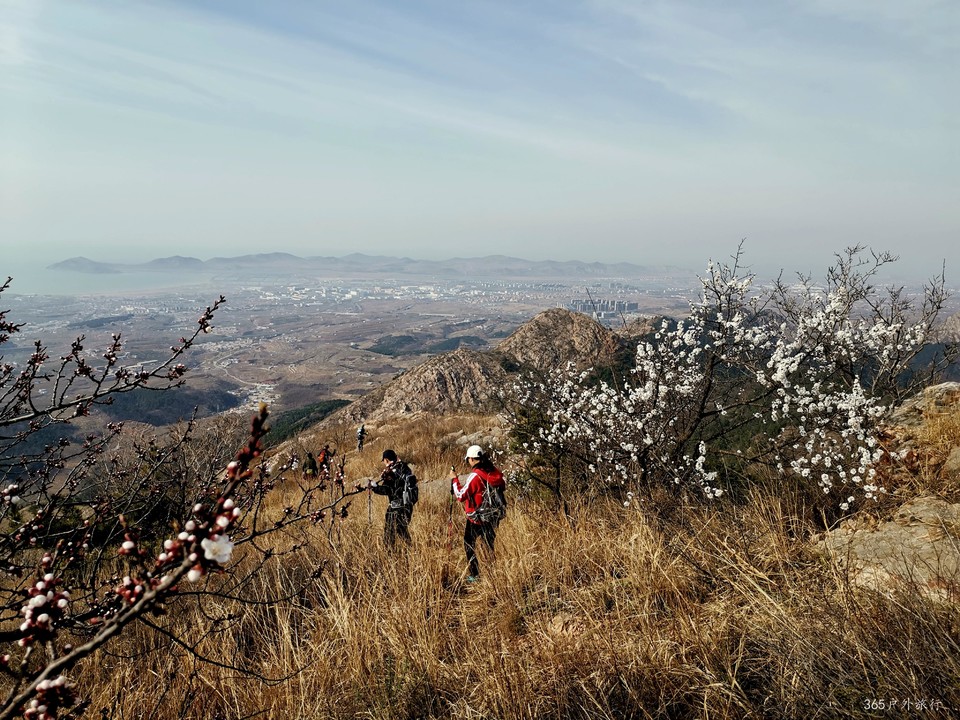 IMG_20220413_153211_edit_25473063897153