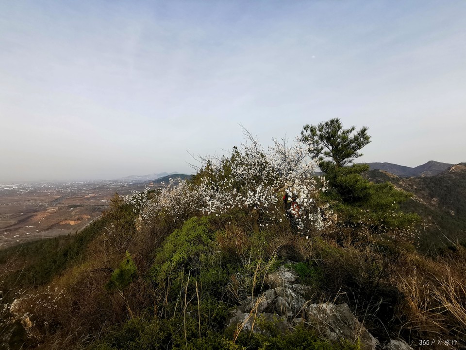 IMG_20220413_165725_edit_25371003069564