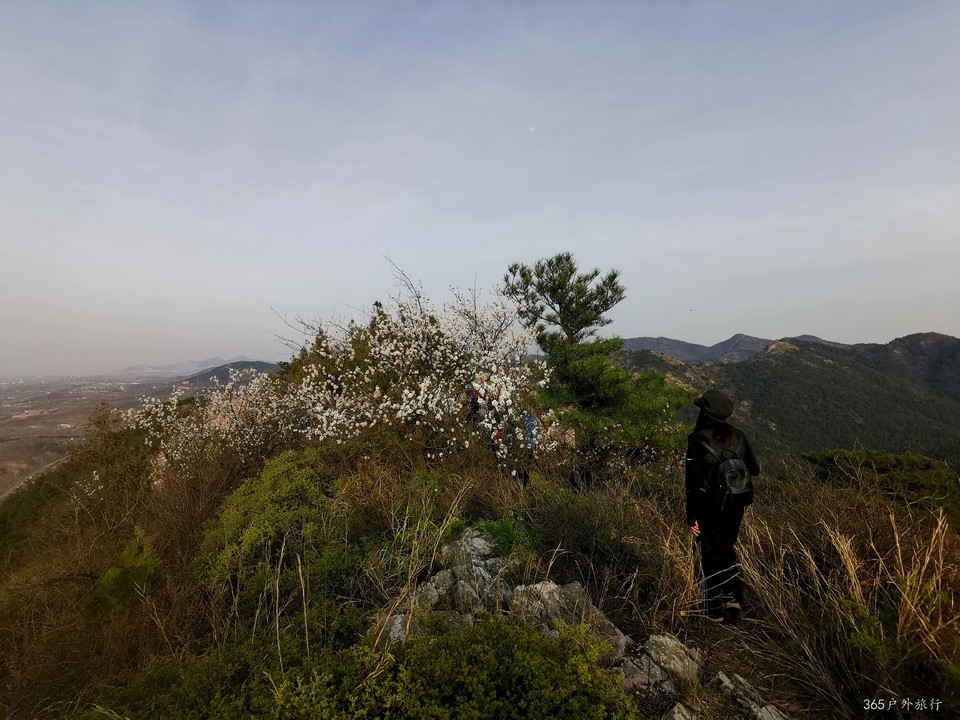 IMG_20220413_165735_edit_25359514547691