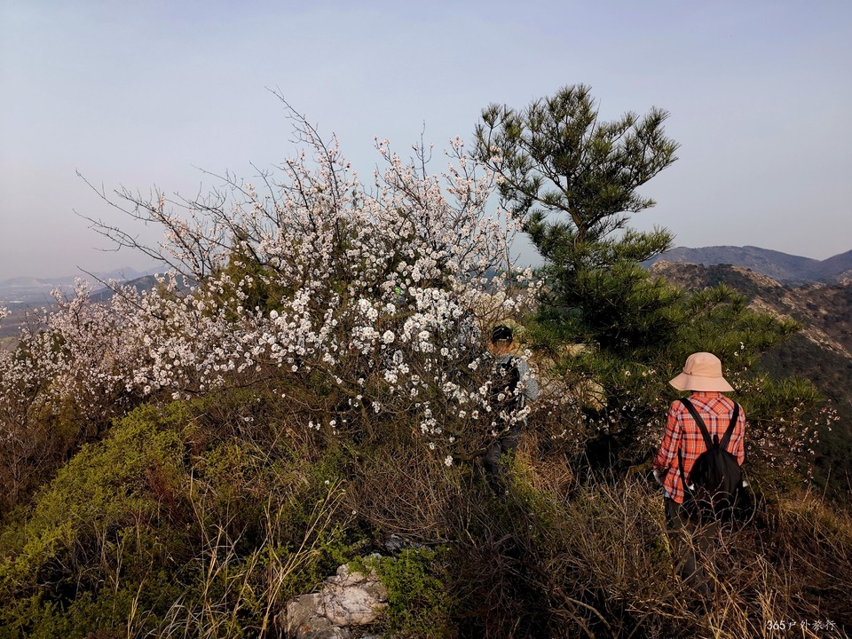 IMG_20220413_165804_edit_25344501885714