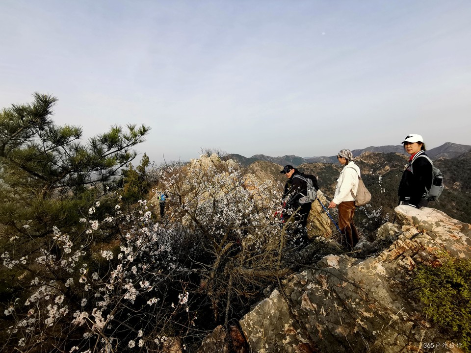 IMG_20220413_165932_edit_25329885698737