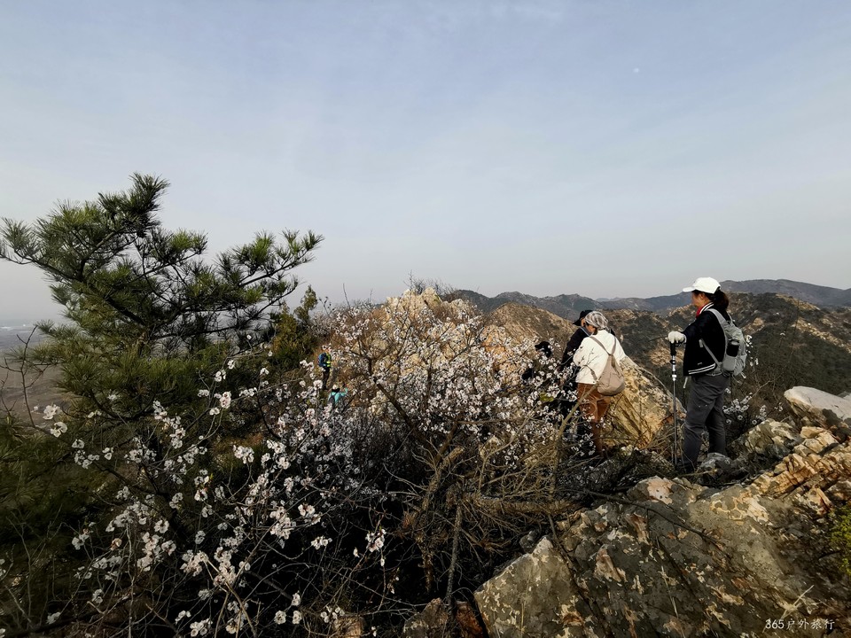 IMG_20220413_165955_edit_25317575568531