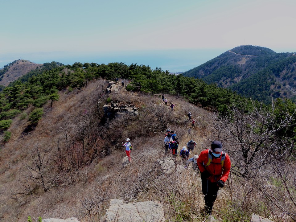 20220416103611_IMG_3377_edit_98326795353745