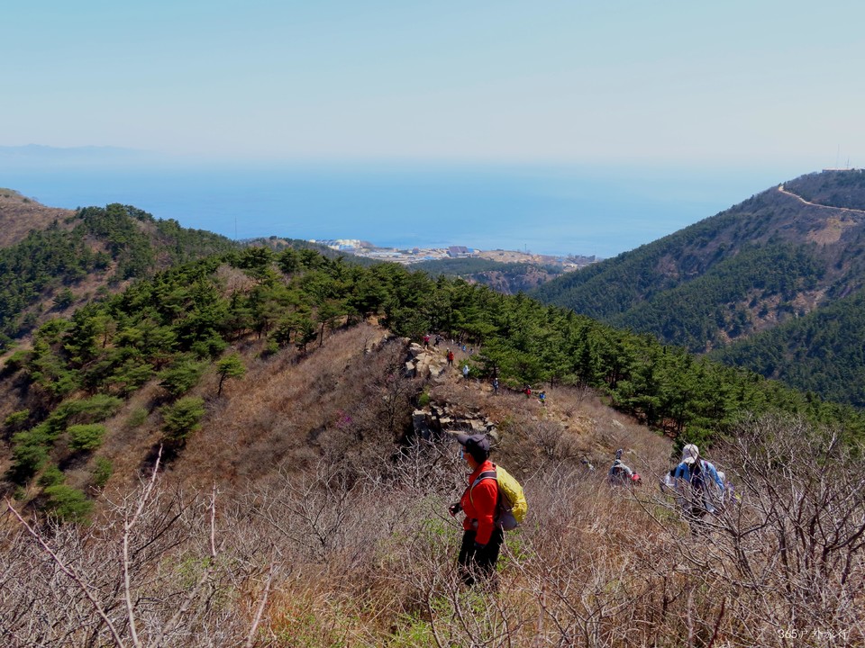 20220416103743_IMG_3378_edit_98315204365205