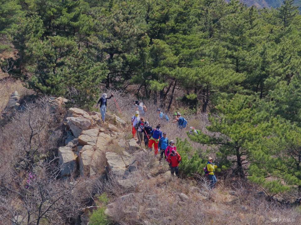 20220416103807_IMG_3379_edit_98359727538636