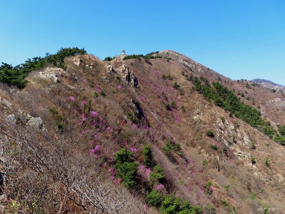 20220416104031_IMG_3381_edit_98394635742276