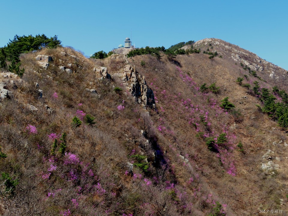 20220416104055_IMG_3383_edit_98431624844354