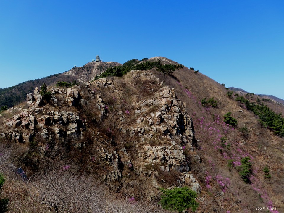 20220416104707_IMG_3384_edit_98418617013627