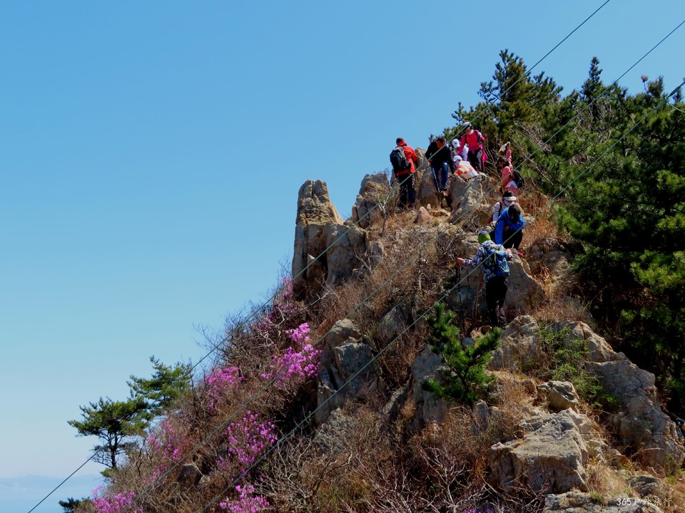 20220416111005_IMG_3390_edit_98491573869866