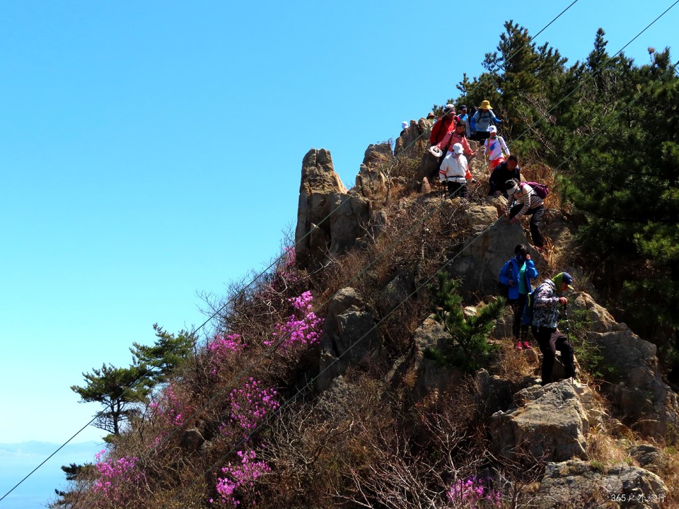 20220416111020_IMG_3391_edit_98480563081847