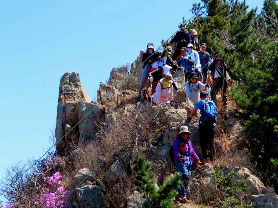 20220416111327_IMG_3396_edit_98695475625564_mh1650108733984