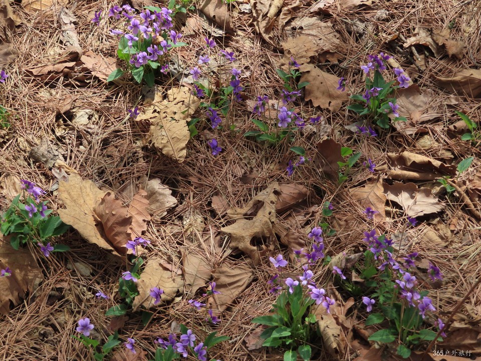 20220417110530_IMG_3423