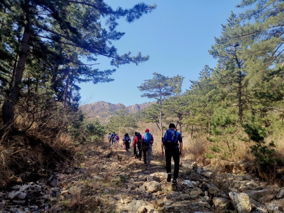 IMG_20220416_094156_edit_99405238867643