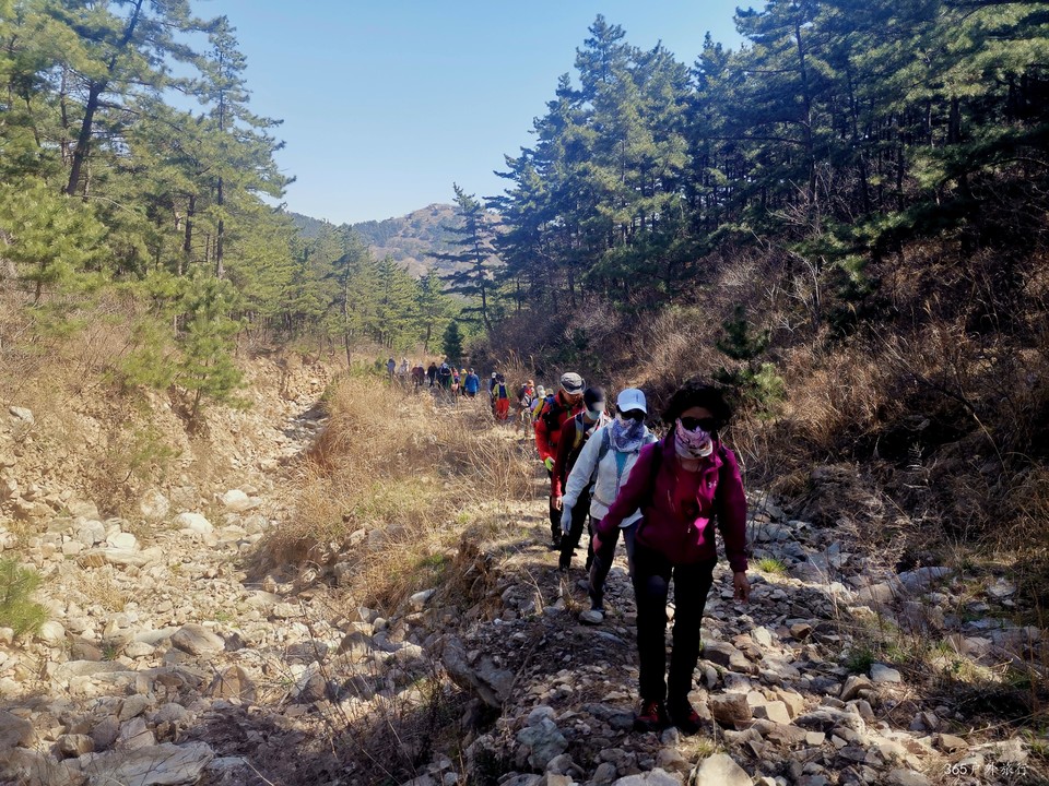 IMG_20220416_094204_edit_99395618234832