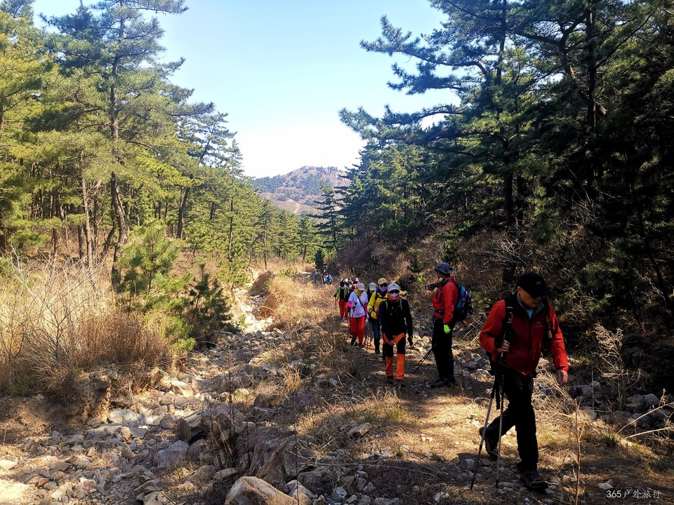 IMG_20220416_094228_edit_99386379255146