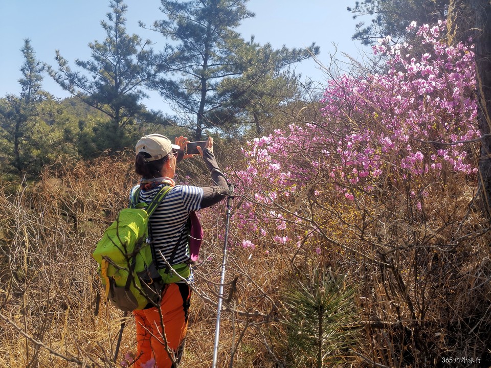 IMG_20220416_100924_edit_99356621714525