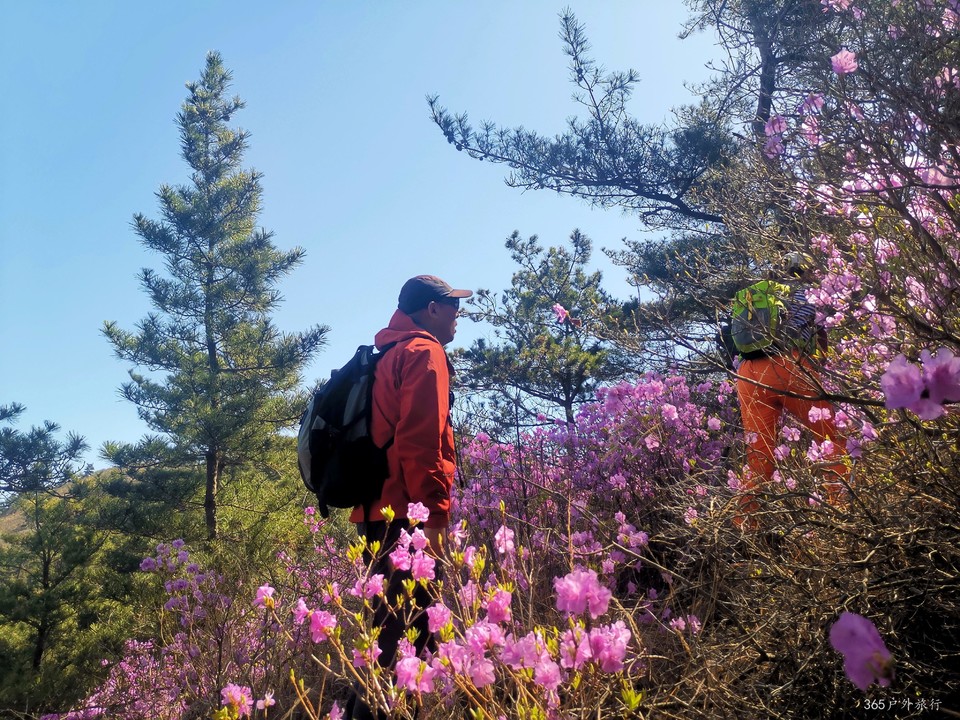 IMG_20220416_101230_edit_99332812710362