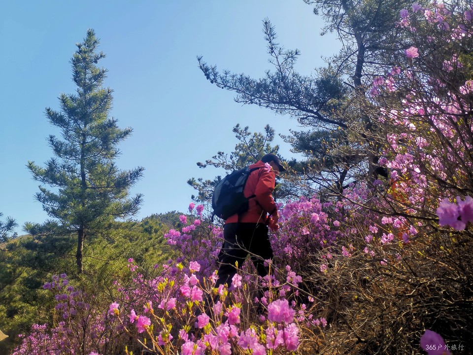 IMG_20220416_101236_edit_99309141628074