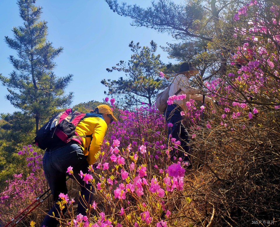 IMG_20220416_101633_edit_99300950777034